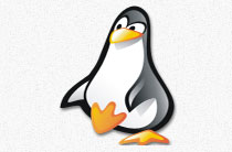 VPN4ALL Linux